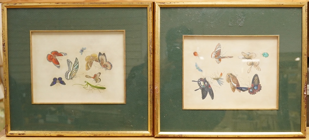 Chinese Export school, studies of butterflies and other insects, pair of watercolours on paper, 16 x 21cm